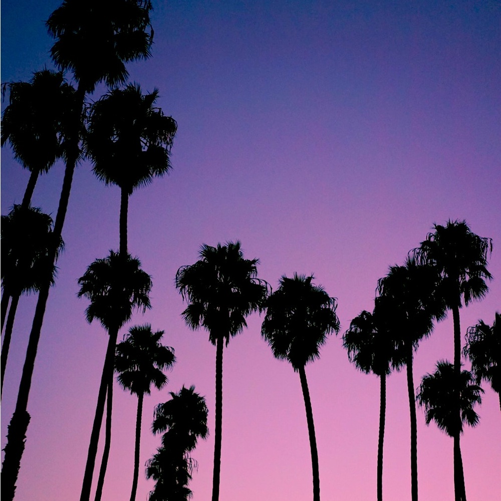 Meet your Posher, Meg